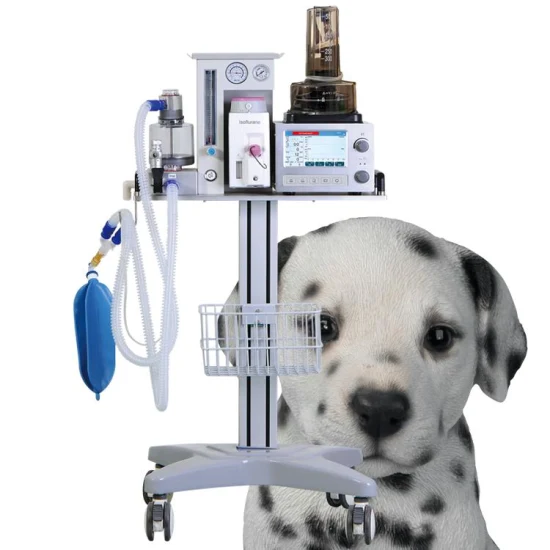 Cheap Price Portable Veterinary Animal Anesthesia Machine with Ventilator